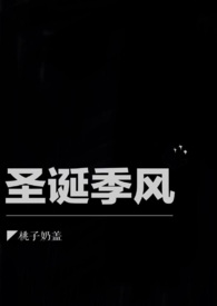 圣诞季小礼盒详情